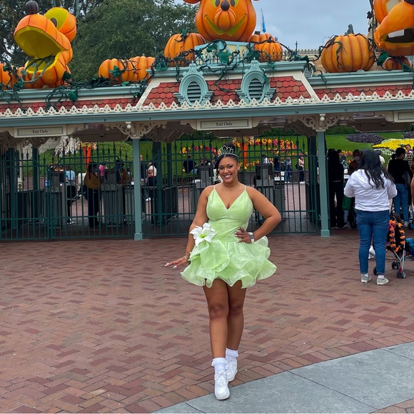 PRINCESS AND THR FROG INSPIRED DRESS - Picture 5 of 5